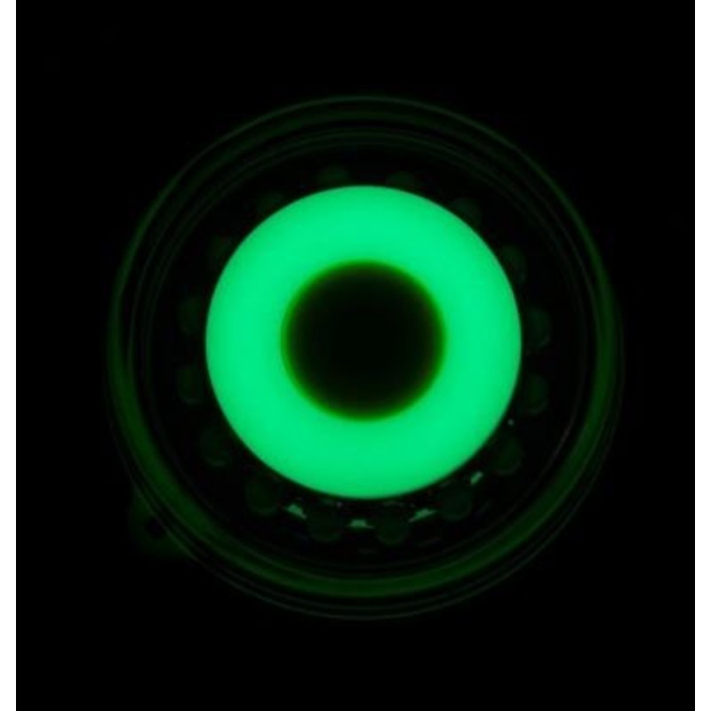 Plastimo lampe securite navi light tricolor 2nm