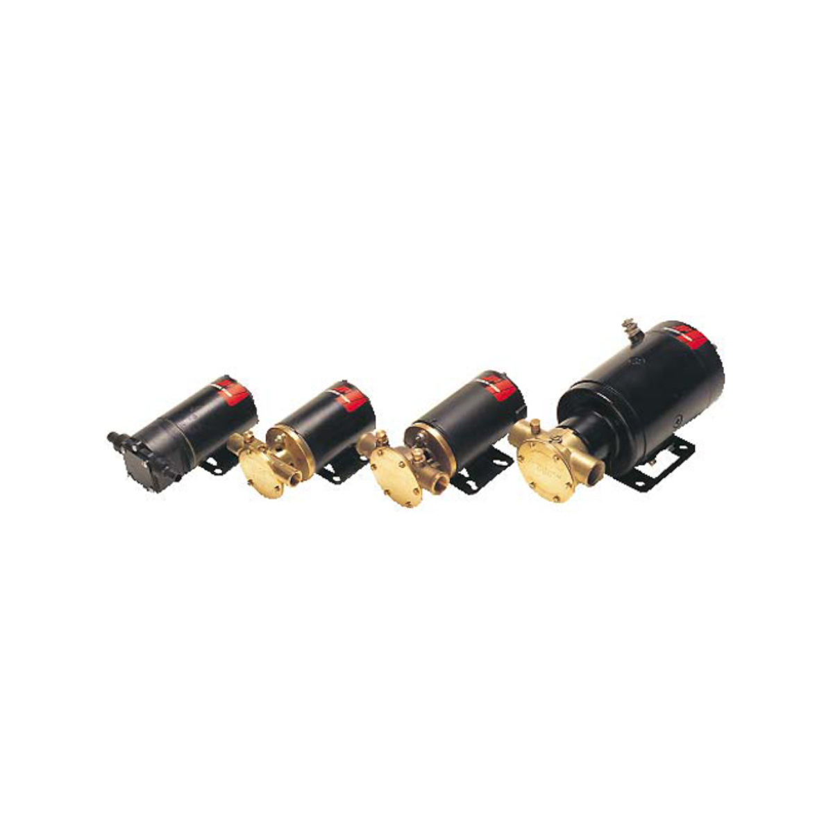 Pompe à impulseur Johnson F5B-19-24V 55 l/min