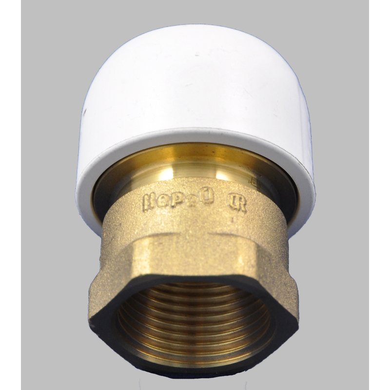 Webasto Écrou à capuchon en laiton Hep2O® 28 x 1