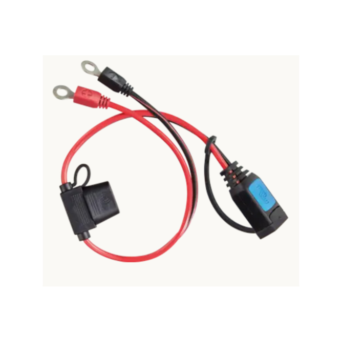 Victron Connexion à œillet M6