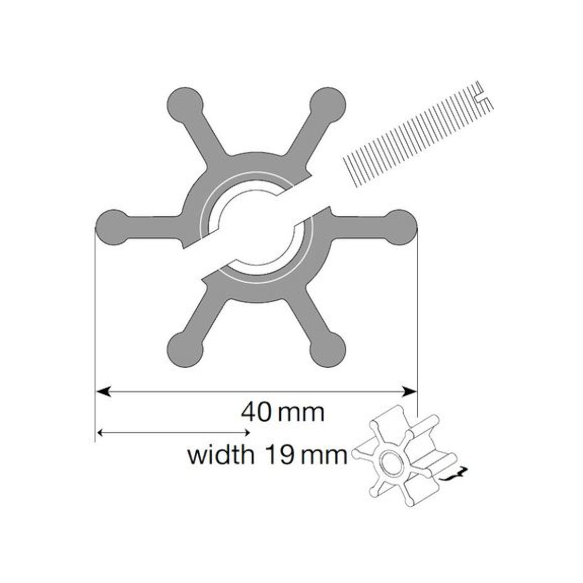 Johnson Impulseur pour pompe F35, MC97/EPDM